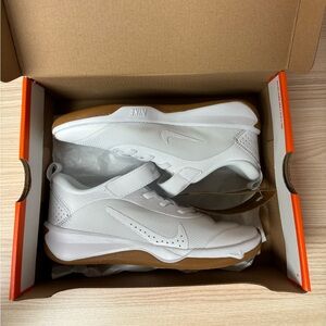 Nike Omni Multi-Court